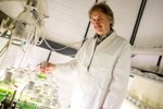 A New Approach for Large-Scale Production of Hydrogen