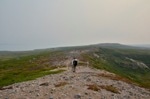 NASA Evaluates Impact of Climate Change on Arctic Vegetation