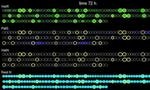 Study Reveals Role of Cyanobacteria in Nitrogen Fixation