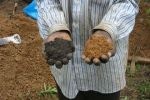 Mimicking Ancient West African Farming Practices Could Help Develop Climate Smart Agricultural Systems