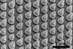 Novel Methods to Make Hydrogen Fuel from Water and Optimize Grid-Scale Batteries