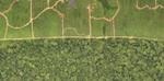 Conservation to Compensate Carbon Emission Essential in Gabon