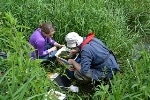 Climate Change Affects UK’s Wildlife Calendar