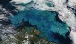 Researchers Study the Effects of Calcification in Oceans