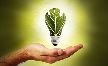 AETI Announces Completion of Biomass Power Generation Control System Project in Kauai, Hawaii