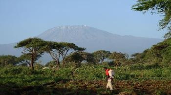 New Predictive Tool Could Help Governments Mitigate Impact of Climate Change in Developing Countries