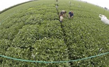 New Discovery Contradicts Widely Accepted Hypothesis About How Climate Change Will Affect Food Production