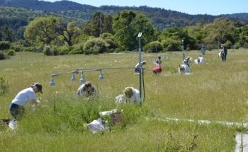 Jasper Ridge Global Change Experiment Alters Four Aspects of Climate Change