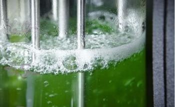 University of Southampton Scientists Reengineer Fundamental Process of Photosynthesis