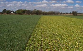 Appropriate Management of Agroecosystems Can Help Buffer Effects of Climate Instability