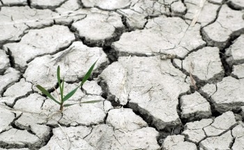 Climate Change may Alter Land Use to Meet Global Demand for Food Production