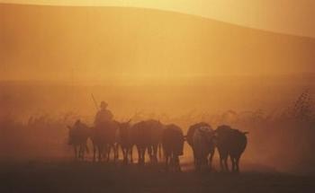 New Research Points Rising Methane Levels to Wetlands and Agriculture