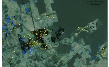 More Deforestation Happening in Brazil than Official Accounts Suggest, New Study Finds
