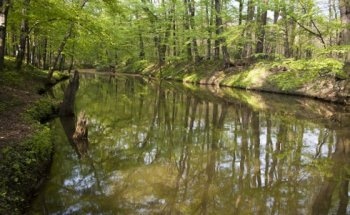 Researchers Provide First Mechanistic Modelling Study on Fate of Nano- and Microplastic in Surface Waters