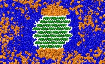 Researchers Uncover Chemical Reaction that Helps Break Down Biomass for Biofuel