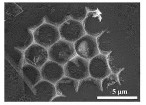 UC Riverside Engineers Develop Energy-Efficient Way to Create Silicon-Based Anodes for Lithium-Ion Batteries 