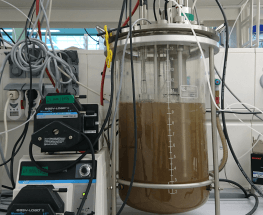 Researchers Discover Microorganism that Eats both Methane and Iron