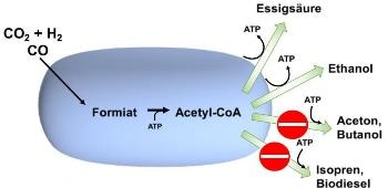 Microbial, CO2-Based Biotechnology Could Help Reprocess Industrial Waste Gases