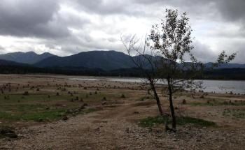 New Greenhouse-Gas Data Proves Reservoirs to be Vital Source of Greenhouse Gases