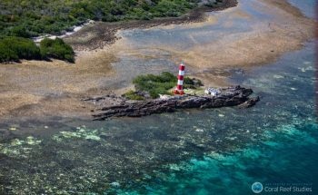 Scientists Identify Key Ecological Processes Necessary to Support Healthy Ecosystems on Earth