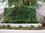 Join the PET Bottle Greenwall Challenge