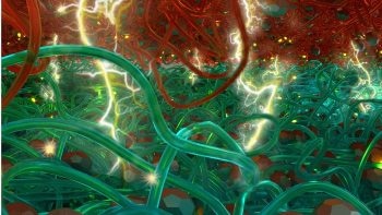 NC State Researchers Develop New Strategy for Fabricating More Efficient Plastic Solar Cells