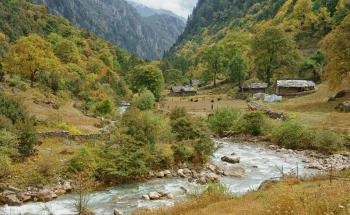 Climate Change Significantly Affects Biodiversity in Natural Environments