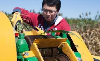 Research Shows Dual-Purpose Biofuel Crops Could Increase Production and Revenue by 20-30%