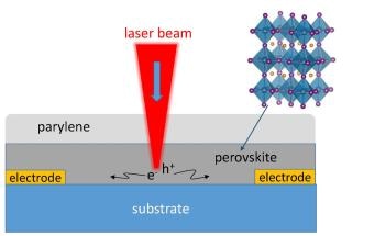 Study Directly Measures Perovskite Solar Film's Conversion Process