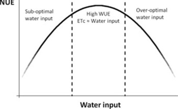 New Study Reveals that Simultaneous Use of Water and Nitrogen Could Enhance Sustainability