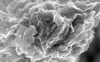 Scientists Find New Method to Extract Radioactivity from Water