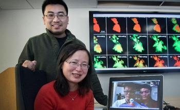 Scientists Explore Cause Behind Performance Degradation in Operating Sodium-Ion Battery