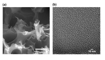 New Study Defines Best-Known Material to Capture Greenhouse Gas
