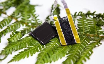 New Electrode Prototype for On-Chip Energy Harvesting and Storage