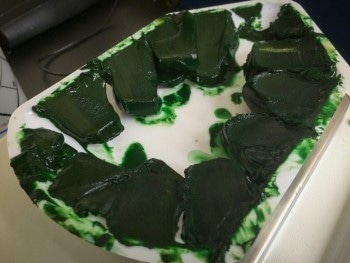 New System to Convert Methane into Deep Green, Energy-Rich, Gelatin-Like Substance