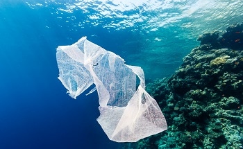 Study Shows How Climate Change Affects Distribution of Marine Microplastic Litter