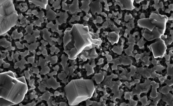 Light Plays a Critical Role in the Formation and Morphology of Perovskites