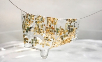 Stanford Researchers Develop Advanced Electronics that are Flexible, Organic and Biodegradable