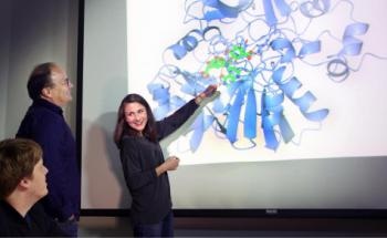 Sandia Researchers Have Unlocked Potential of Biofuel Waste to Be Made into Biofuels