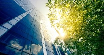 Low Hedges Could Reduce Impact of Urban Air Pollution