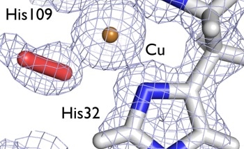 New Finding Could Help Bring Down Cost of Creating Biofuels