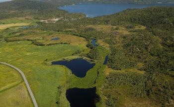 NIVA Team Prepares Effective Restoration Plan of Aquatic Ecosystems