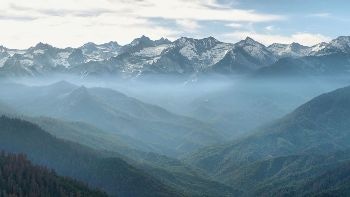 Climate Change and Wildfire Events Play a Big Role in Reduction of Stored Carbon in Forests