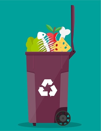 Cold Conversion of Food Waste into Renewable Energy and Fertilizer Could Reduce Canada's Carbon Footprint