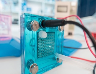 Electrocatalyst Nanostructures Play Big Role in Optimizing Fuel Cells, Electrolyzers