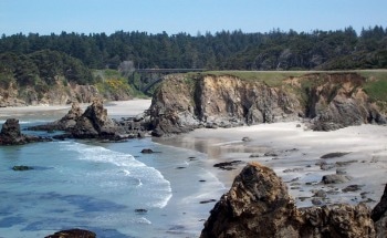 Microplastics May be a Growing Threat to Ocean's Ecology