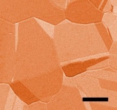 Scientists Aim to Convert Harmful Carbon Dioxide into Beneficial Liquid Fuel