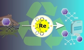 Nagoya University Researchers Transform Metal Catalysis for Sustainable Future