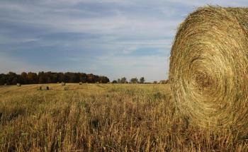 Study Highlights Benefits and Correct Management of Cellulosic Biofuels