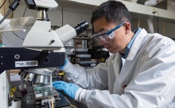 Meniscus-Assisted Method to Create Very Efficient Perovskite PV Films